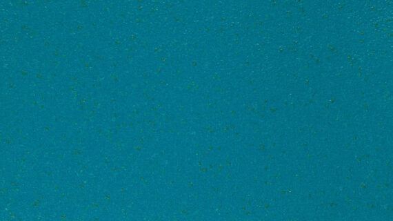 ALTRO AQUARIUS-Mallard