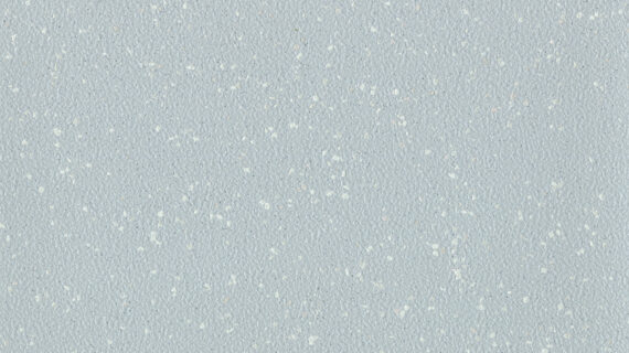 ALTRO AQUARIUS-Sea Snail