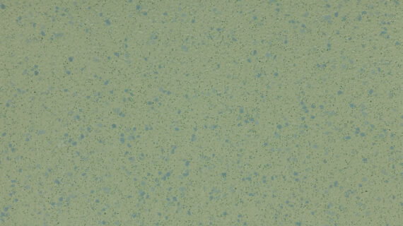 ALTRO AQUARIUS-Tree Frog