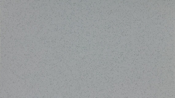 ALTRO AQUARIUS-Walrus