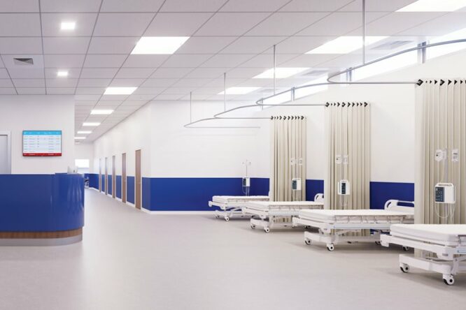 Altro Fortis Titanium-Battleship