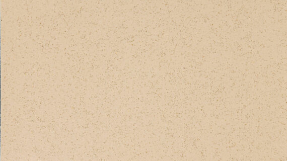 Altro Reliance Arena