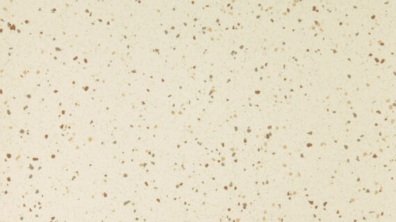 Altro Reliance Ice Rink