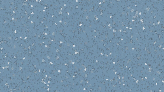 Altro Suprema Clematis