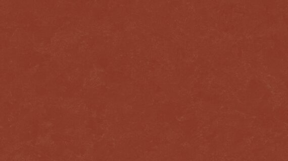 Altro Orchestra Flamenco