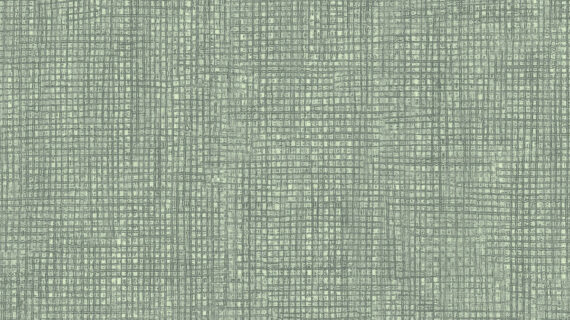 Altro Orchestra Guitar