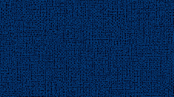 Altro Orchestra Kora