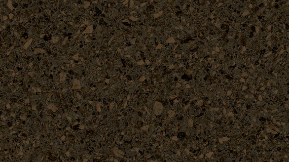 Altro Orchestra Othello