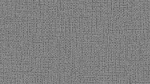 Altro Orchestra Polka