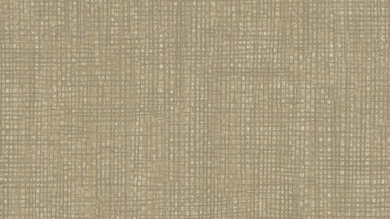 Altro Orchestra Rigoletto