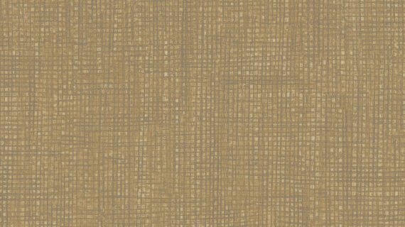 Altro Orchestra Traviata