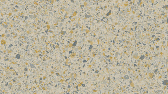 Altro Orchestra Volta