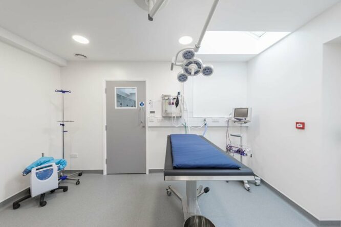 Cromwell Vets Altro Walkway Altro Whiterock Doorsets Altro Fortis Titanium 012 - Londonclad